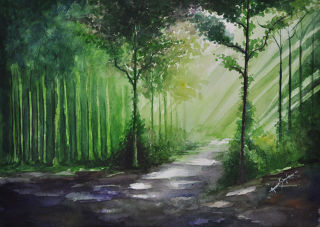 Illustration  artwork Light of the forest by Amar Singha