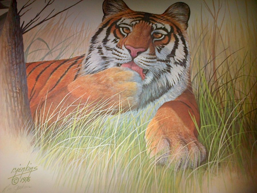 Realism Paper painting Bangal Tiger by Ron Jenkins